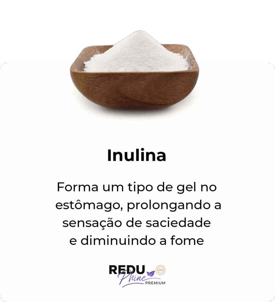 i-Inulina-2.png